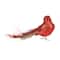 Glittered Bird with Feather Tail Christmas Clip Ornament - 7" - Red